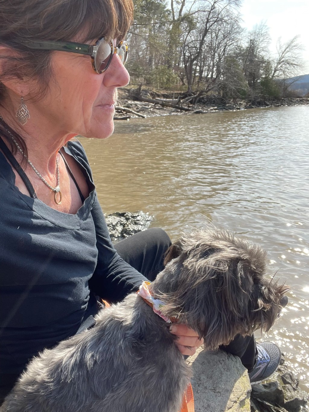 Meditation and Cannabis