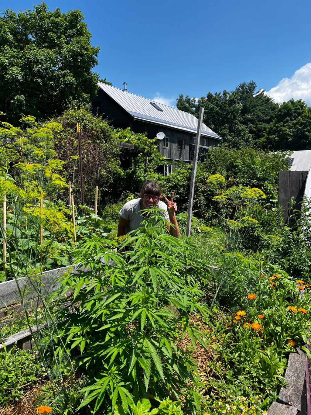 The Mystery and the Magic of&nbsp;THCV