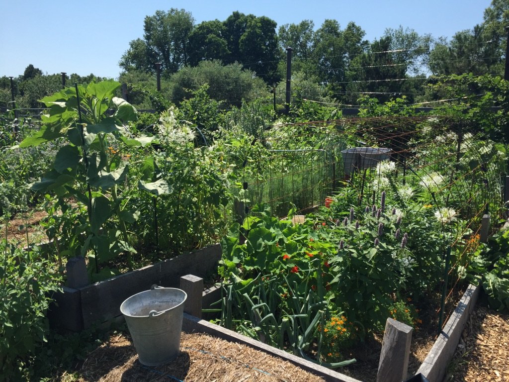 A Paradigm Switch to Regenerative Farming is Essential to the Preservation of Life on&nbsp;Earth